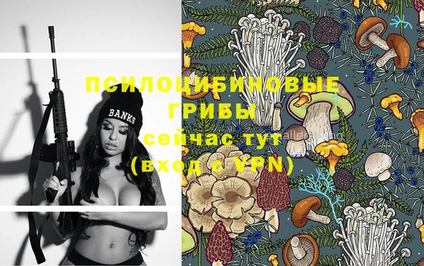 2c-b Вязники