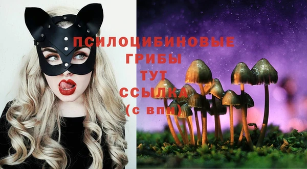 героин Вяземский