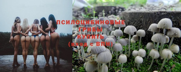 героин Вяземский