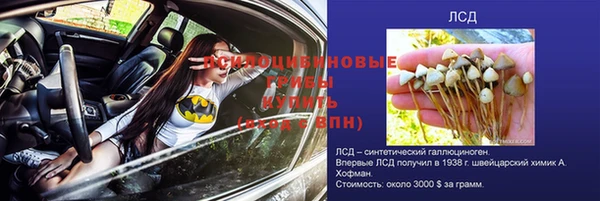 героин Вяземский